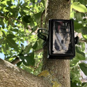 Sensortechnologie zur Überwachung und Pflege von Bäumen Installierte Sensortechnologie zur Überwachung und Pflege von Bäumen, die eine Gesundheitsüberwachung und bedarfsgerechte Bewässerung ermöglicht