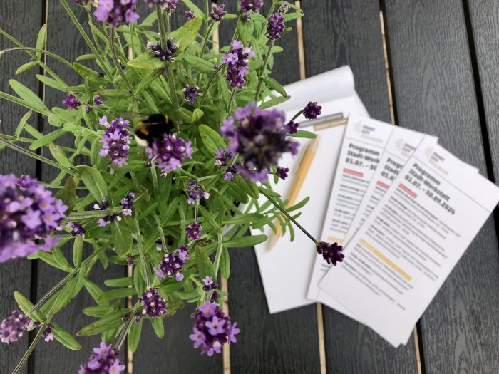 Lavendel Pflanze mit lila Blüten und mehreren Dokumenten auf einem Tisch.