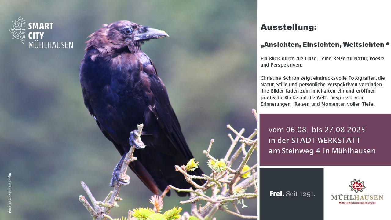 Ausstellung "Ansichten, Einsichten, Weltsichten" Informationsplakat zur Ausstellung "Ansichten, Einsichten, Weltsichten" Ein schwarzer Rabe sitzt auf einem Ast und schaut in die Ferne.